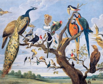 Concert van vogels door Paul De Vos