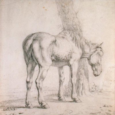 Een oud paard door Paulus (attr.to) Potter