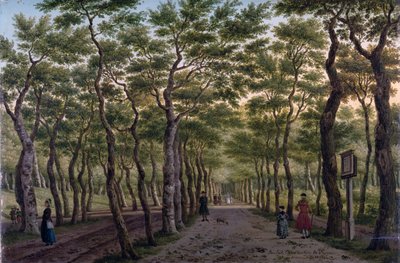 Het Herepad in het Haagse Bos door Paulus Constantin La Fargue