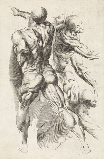 Anatomische studie van drie figuren met gestrekte armen door Paulus Pontius