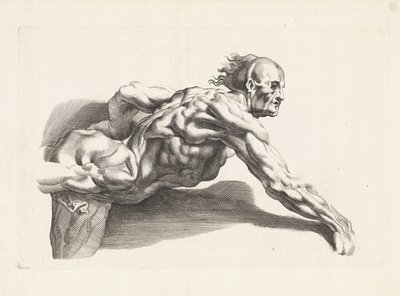 Anatomische studie van vooroverleunende man door Paulus Pontius
