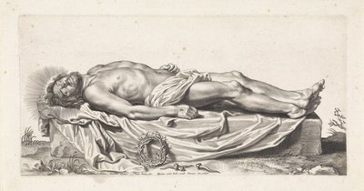 Lichaam van de dode Christus door Paulus Pontius