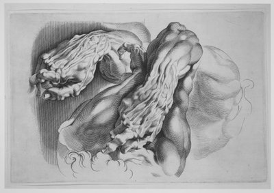 Drie studies van Écorchés, na 1640 door Paulus Pontius