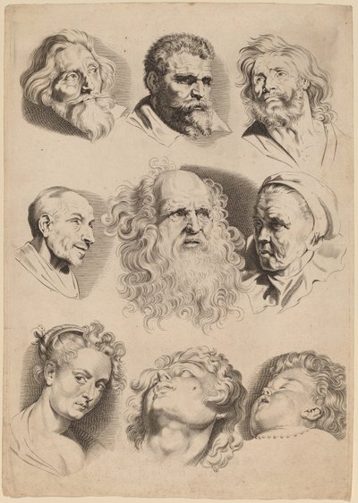 Negen hoofden door Paulus Pontius after Sir Peter Paul Rubens