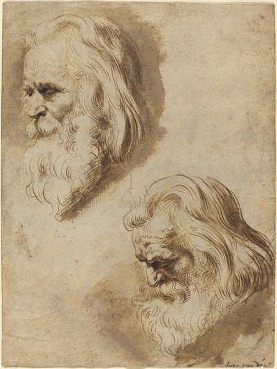 Twee Studies van het Hoofd van een Oudere Man door Paulus Pontius after Sir Peter Paul Rubens