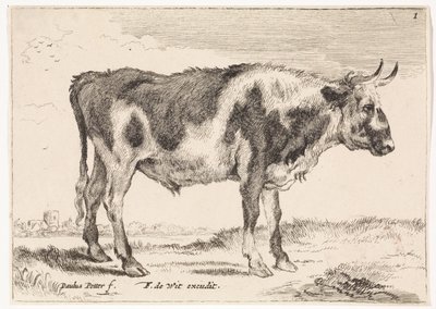 Gevlekte os door Paulus Potter (rejected attribution)
