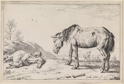  door Paulus Potter