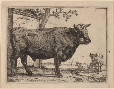 Stier door Paulus Potter