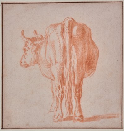 Koe (dierstudie) door Paulus Potter