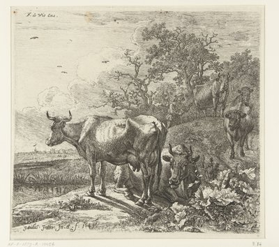 De veehoeder door Paulus Potter