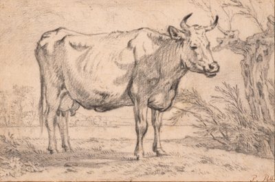  door Paulus Potter
