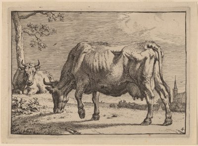 Grazende Koe door Paulus Potter