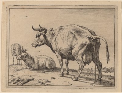 Pissende koe door Paulus Potter
