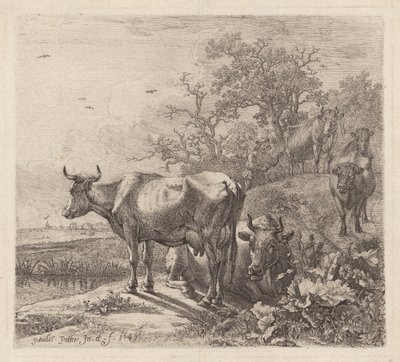 De Koeherder door Paulus Potter