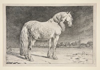Het Friese Paard door Paulus Potter