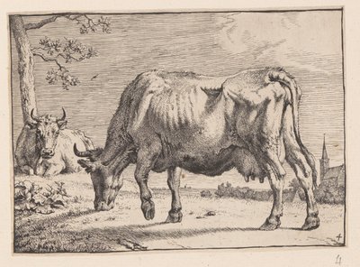 De grazende koe, van diverse ossen en koeien door Paulus Potter