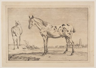 Het hinnikende paard, uit Serie paarden door Paulus Potter