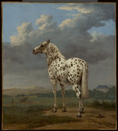 Het "bont" paard door Paulus Potter