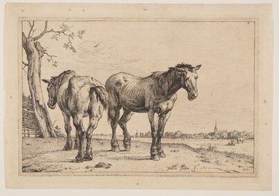 Het Ploegpaard, uit Serie Paarden door Paulus Potter