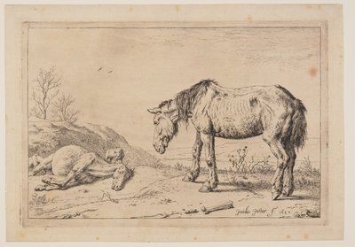Het versleten paard, (La Mazette), uit Serie paarden door Paulus Potter