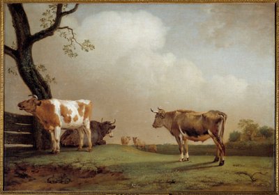 De weide door Paulus Potter