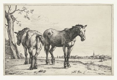 Twee ploegpaarden door Paulus Potter