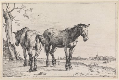  door Paulus Potter