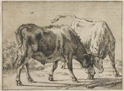 Twee vechtende stieren door Paulus Potter
