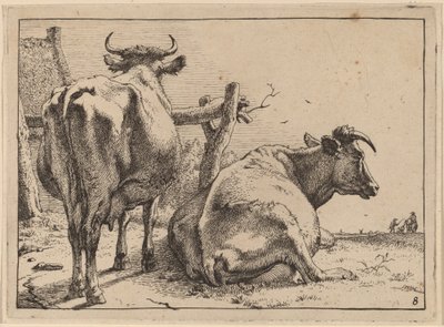 Twee Koeien van Achteren Gezien door Paulus Potter