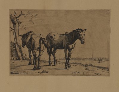 Twee paarden door Paulus Potter