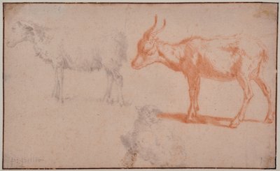 Twee schapen en een geit (dierstudies) door Paulus Potter