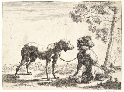 Twee honden aan elkaar gebonden door Paulus van Hillegaert (II)