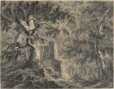 Ruïnes bij een bosbeek door Paulus van Liender