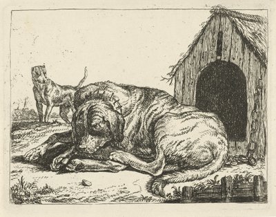 Liggende hond aan een ketting (Verschillende honden) door Pauwels van Hillegaert