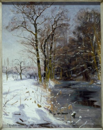 Zonnige Winterdag door Peder Monsted