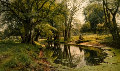 Stil Water in het Bos door Peder Monsted