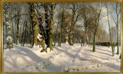 Besneeuwd winterbos in zonlicht door Peder Monsted