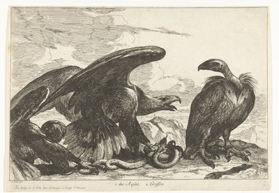 Gier en een arend met slang Vogels uit de menagerie van Versailles (series title) door Peeter Boel (attributed to)