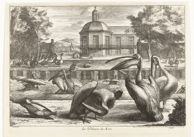 Pelikanen door Peeter Boel (attributed to)