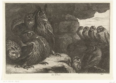 Uilen in een grot door Peeter Boel (attributed to)
