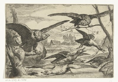 Roofvogels door Peeter Boel