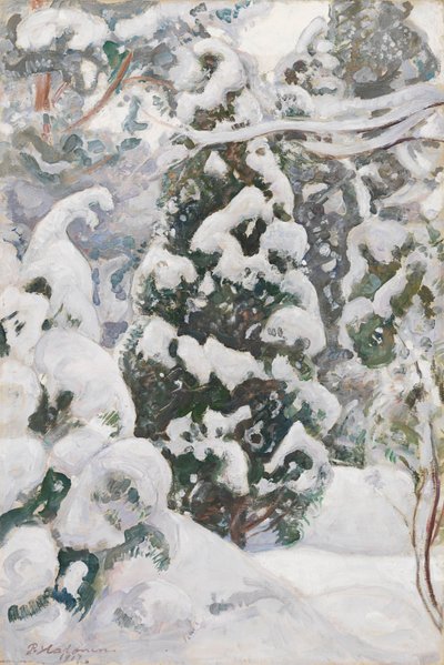  door Pekka Halonen