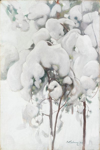  door Pekka Halonen