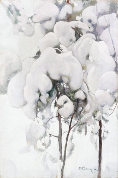  door Pekka Halonen