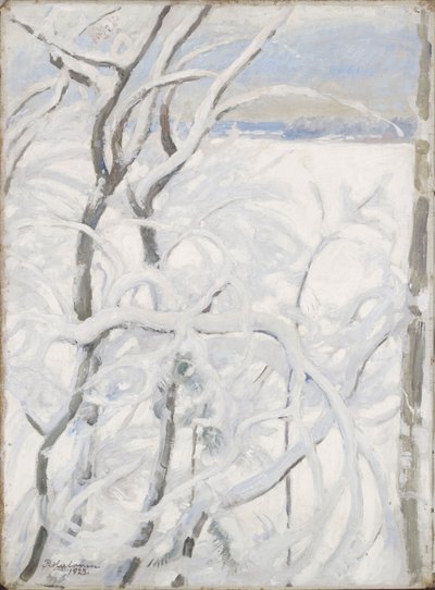  door Pekka Halonen