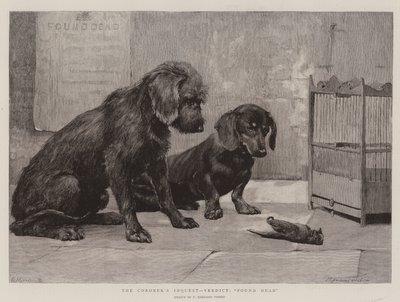 Het Gerechtelijk Onderzoek, Vonnis, Dood Gevonden door Percy Harland Fisher