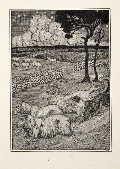 Een Hondachtige Schapendief, uit Honderd Anekdotes van Dieren, uitgegeven 1924 door Percy J. Billingshurst