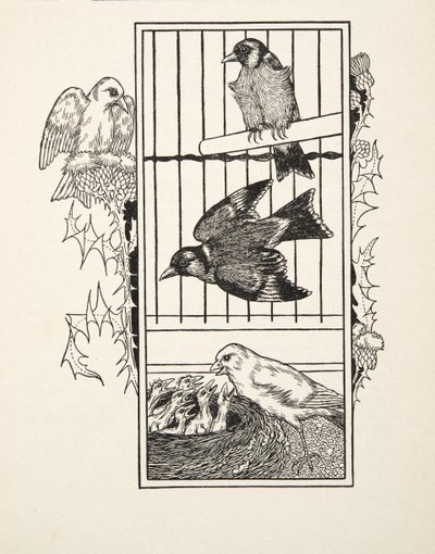Een liefdadige kanarie, uit Honderd anekdotes van dieren, pub. 1924 door Percy J. Billingshurst