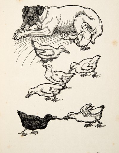 Een bijzondere pleegmoeder, uit Honderd anekdotes van dieren, pub. 1924 door Percy J. Billingshurst