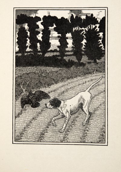 De jager misleiden, uit Honderd anekdotes van dieren, pub. 1924 door Percy J. Billingshurst